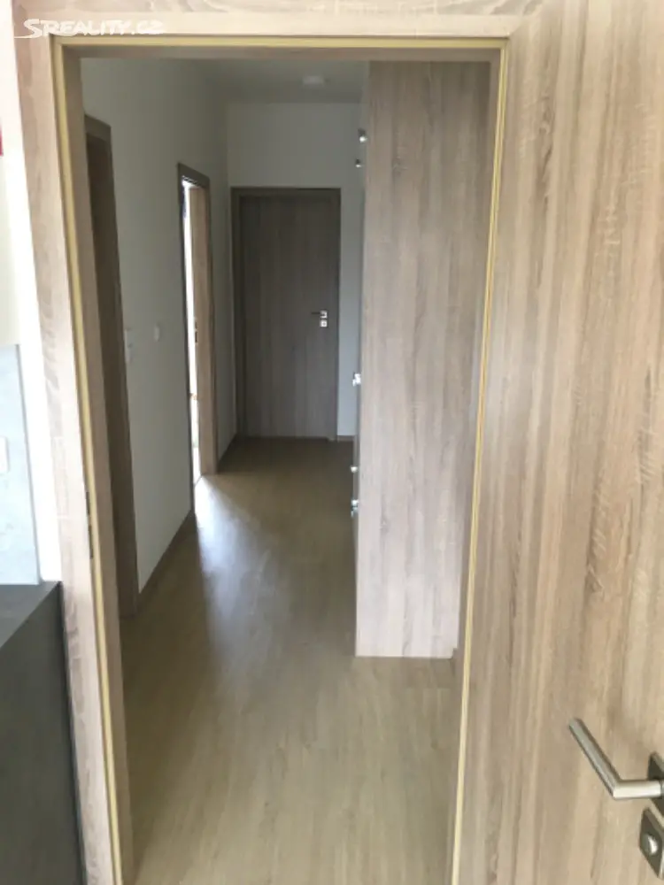 Pronájem bytu 2+kk 47 m², Vídeňská, Brno - Štýřice