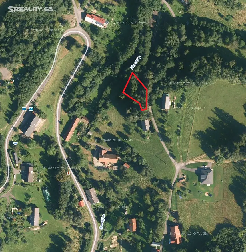 Prodej  lesa 655 m², Kunvald, okres Ústí nad Orlicí
