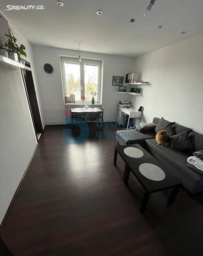 Pronájem bytu 2+1 54 m², Budovcova, Prostějov