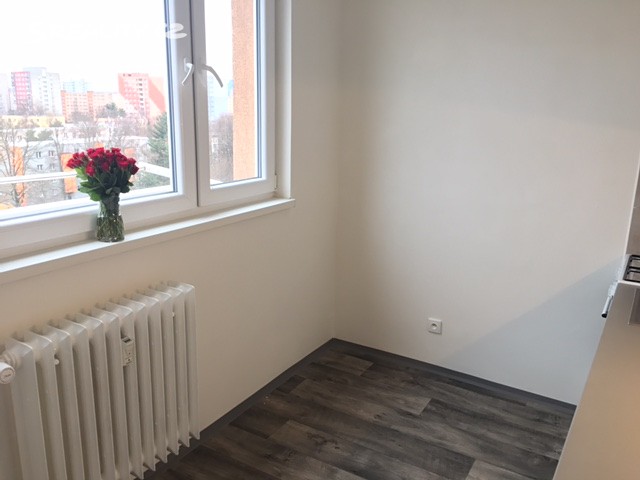 Pronájem bytu 1+1 37 m², Josefa Kotase, Ostrava - Hrabůvka