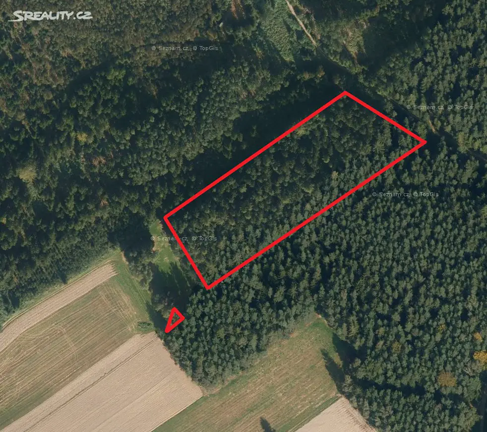 Prodej  lesa 1 518 m², Česká Třebová - Lhotka, okres Ústí nad Orlicí