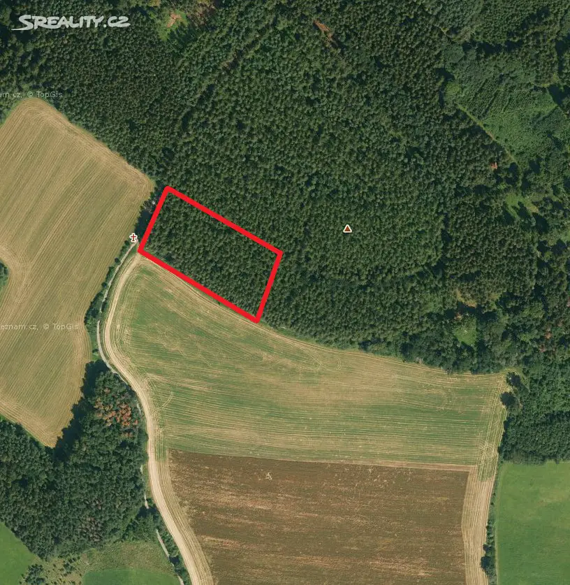 Prodej  lesa 1 807 m², Dlouhá Loučka, okres Svitavy