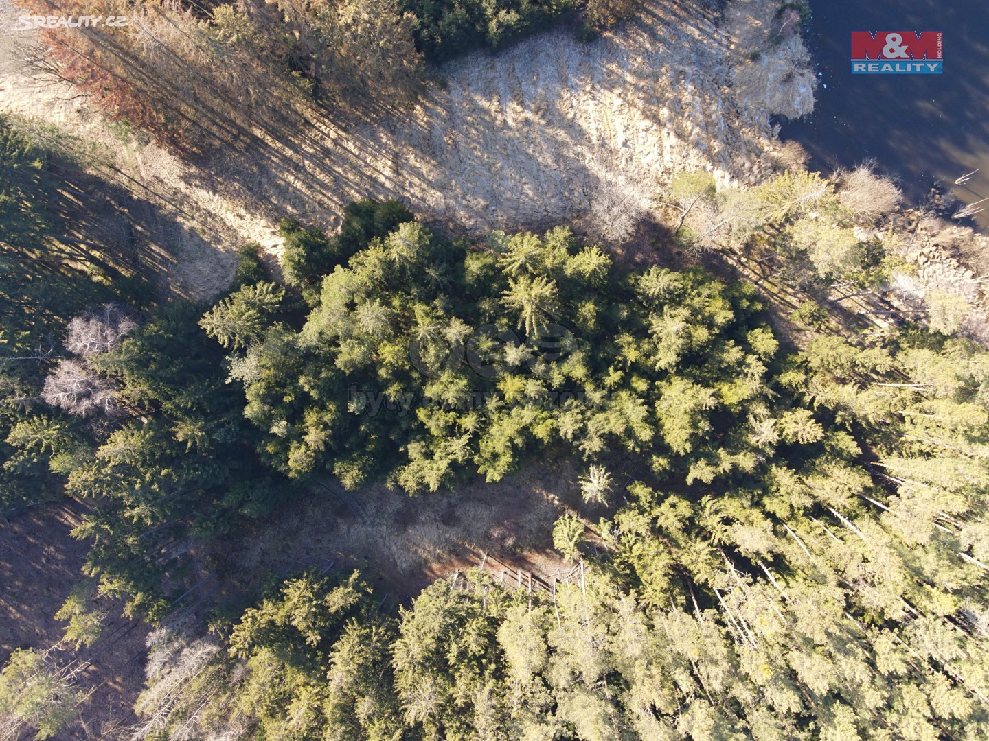 Prodej  lesa 1 295 m², Mezná, okres Tábor