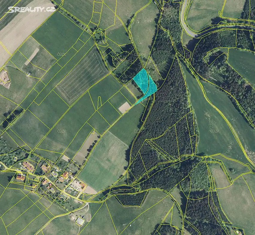 Prodej  lesa 1 148 m², Mistrovice, okres Ústí nad Orlicí