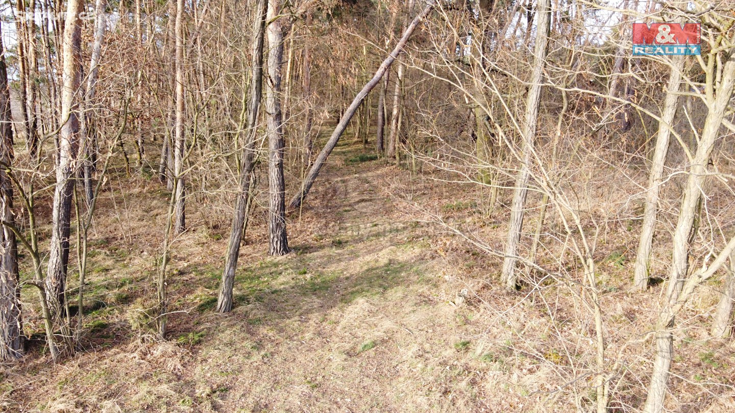 Prodej  lesa 2 446 m², Sadská, okres Nymburk