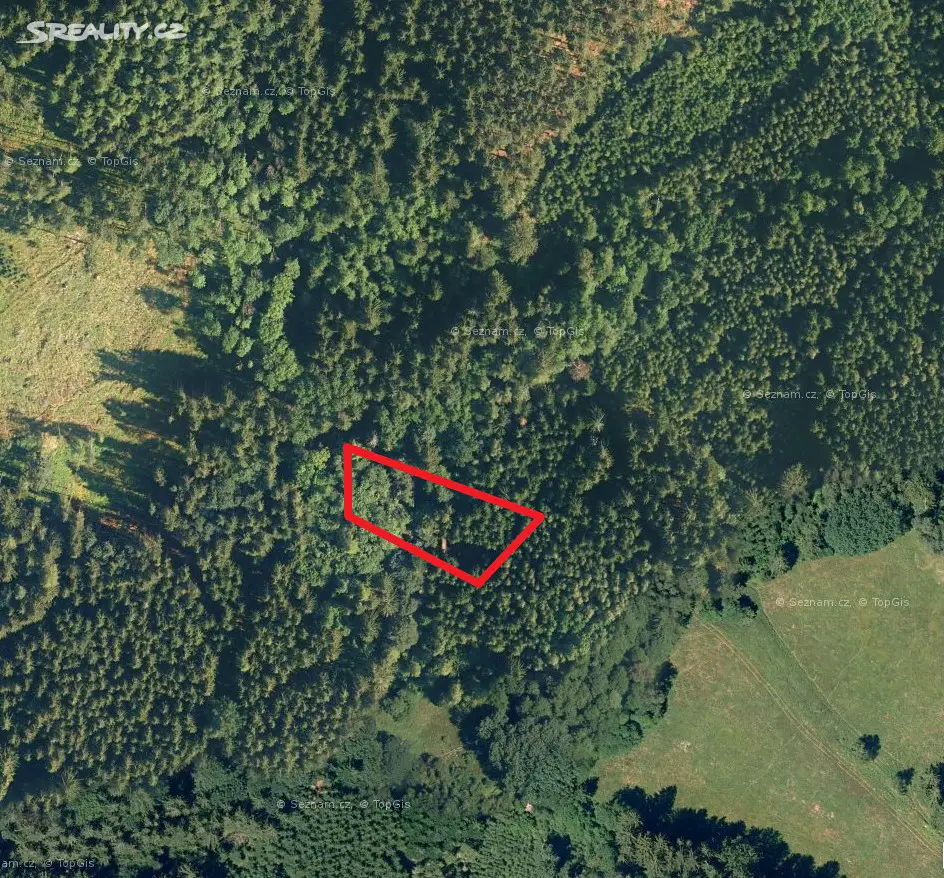 Prodej  lesa 1 309 m², Telecí, okres Svitavy