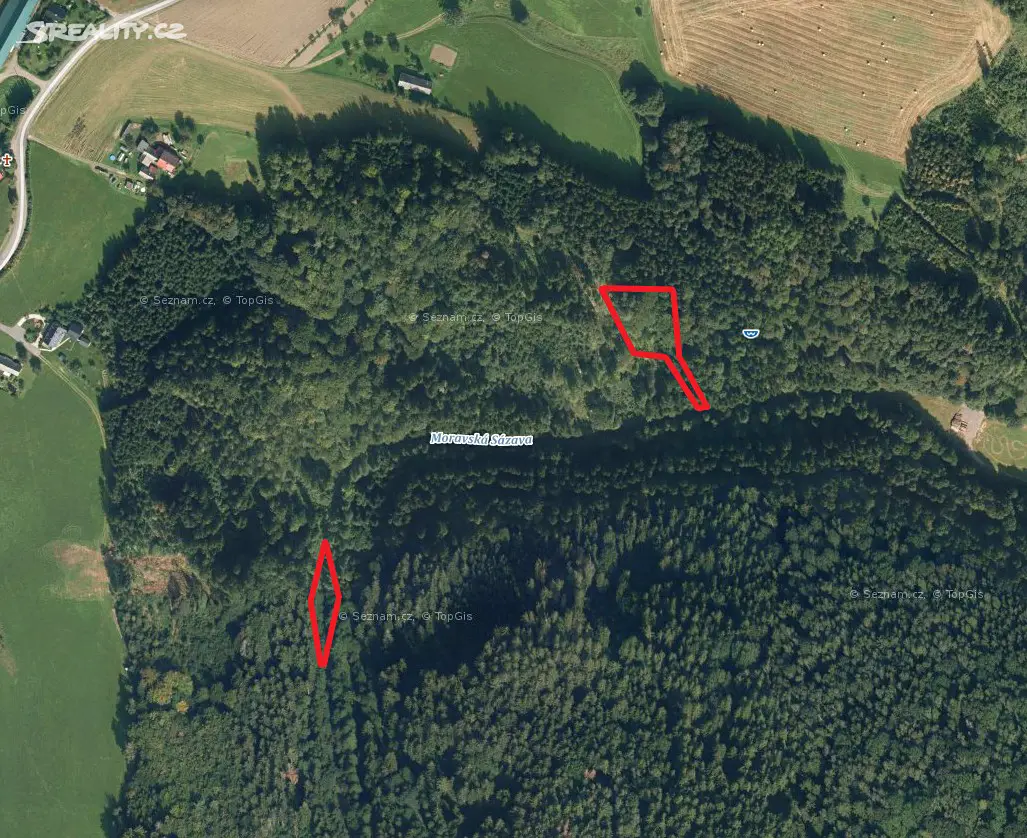 Prodej  lesa 1 892 m², Výprachtice, okres Ústí nad Orlicí