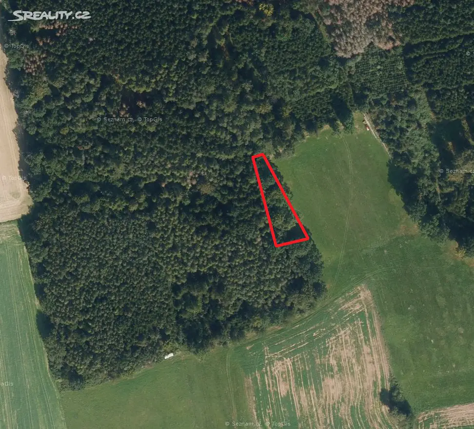 Prodej  lesa 1 101 m², Zádolí, okres Ústí nad Orlicí