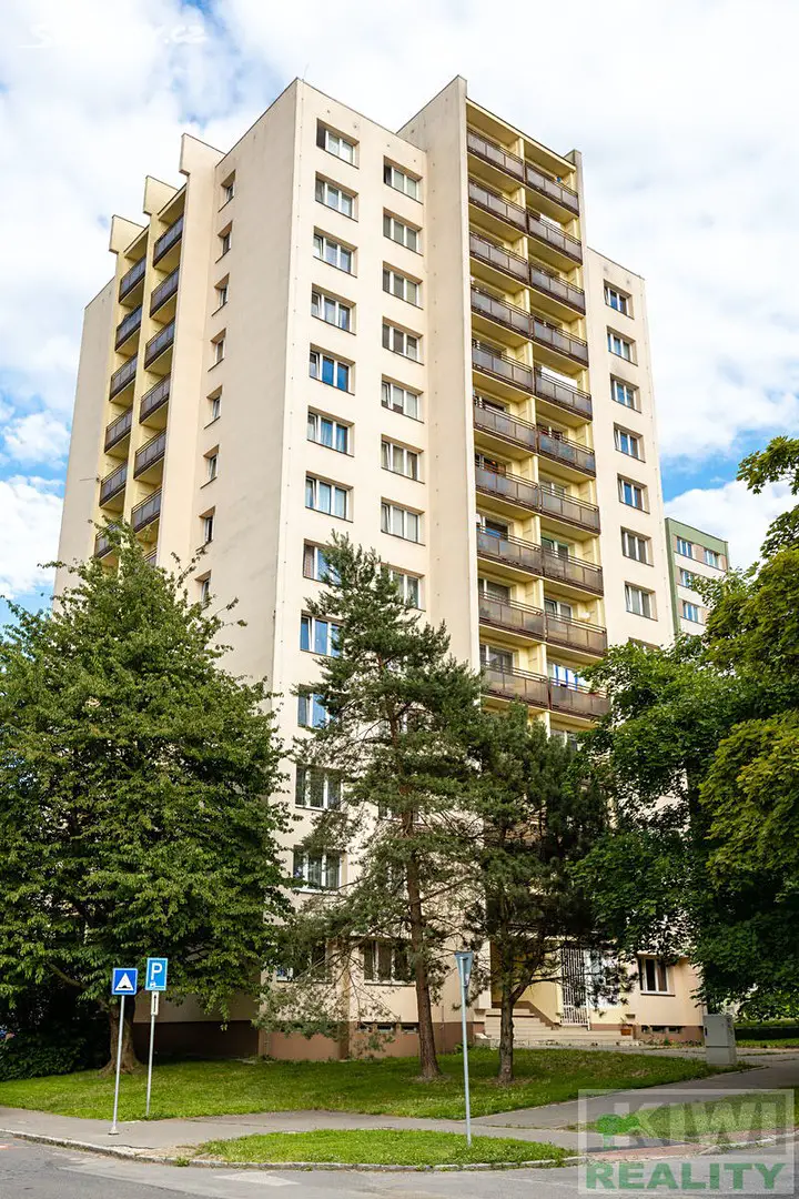 Pronájem bytu 1+kk 33 m² (Loft), Výškovická, Ostrava - Výškovice