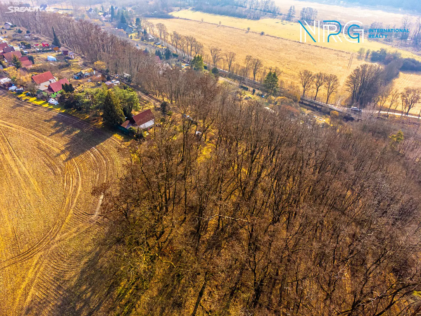 Prodej  lesa 8 878 m², Bítouchov, okres Mladá Boleslav