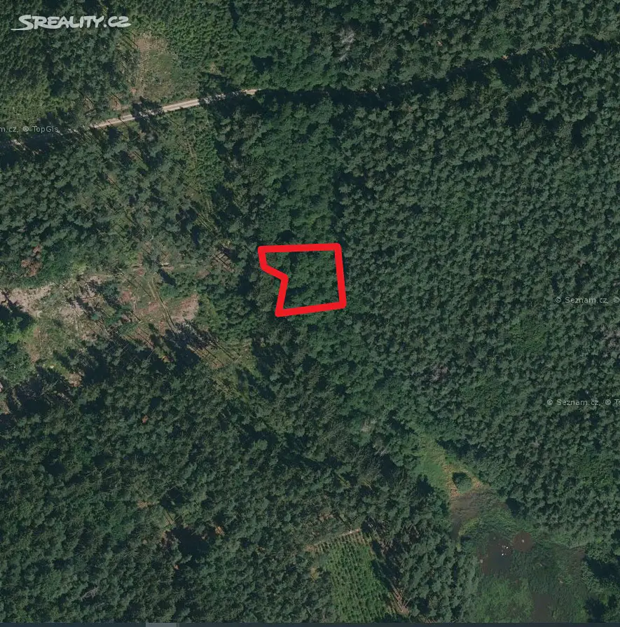 Prodej  lesa 1 239 m², Hlasivo, okres Tábor
