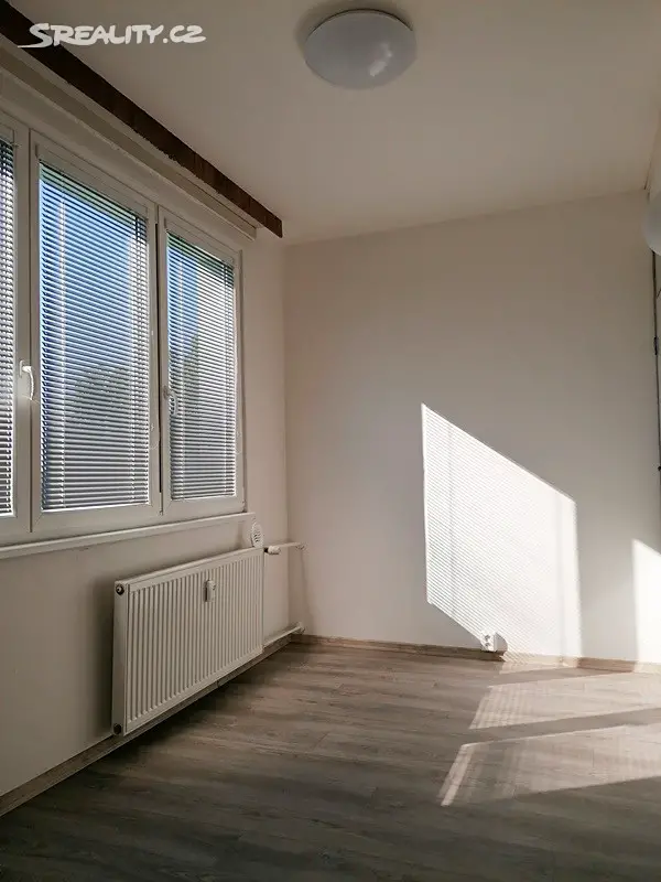 Pronájem bytu 1+1 44 m², El. Krásnohorské, České Budějovice - České Budějovice 5