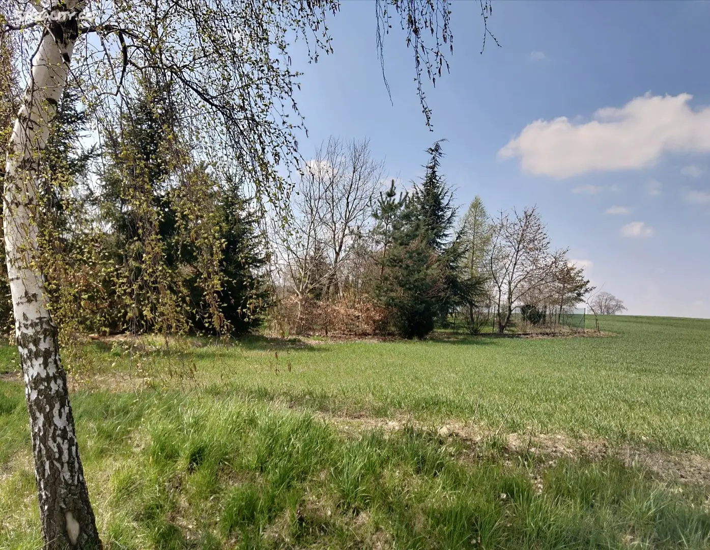 Prodej  pozemku 862 m², Šetějovice - Žibřidovice, okres Benešov