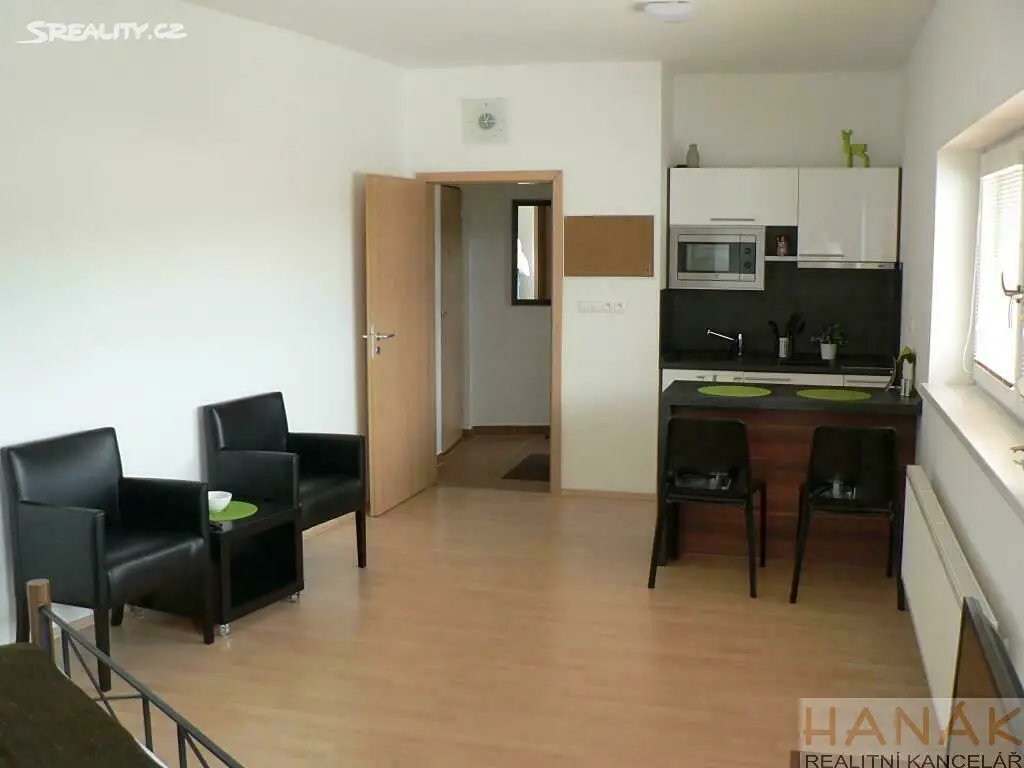 Pronájem bytu 1+kk 37 m², Cacovická, Brno - Husovice