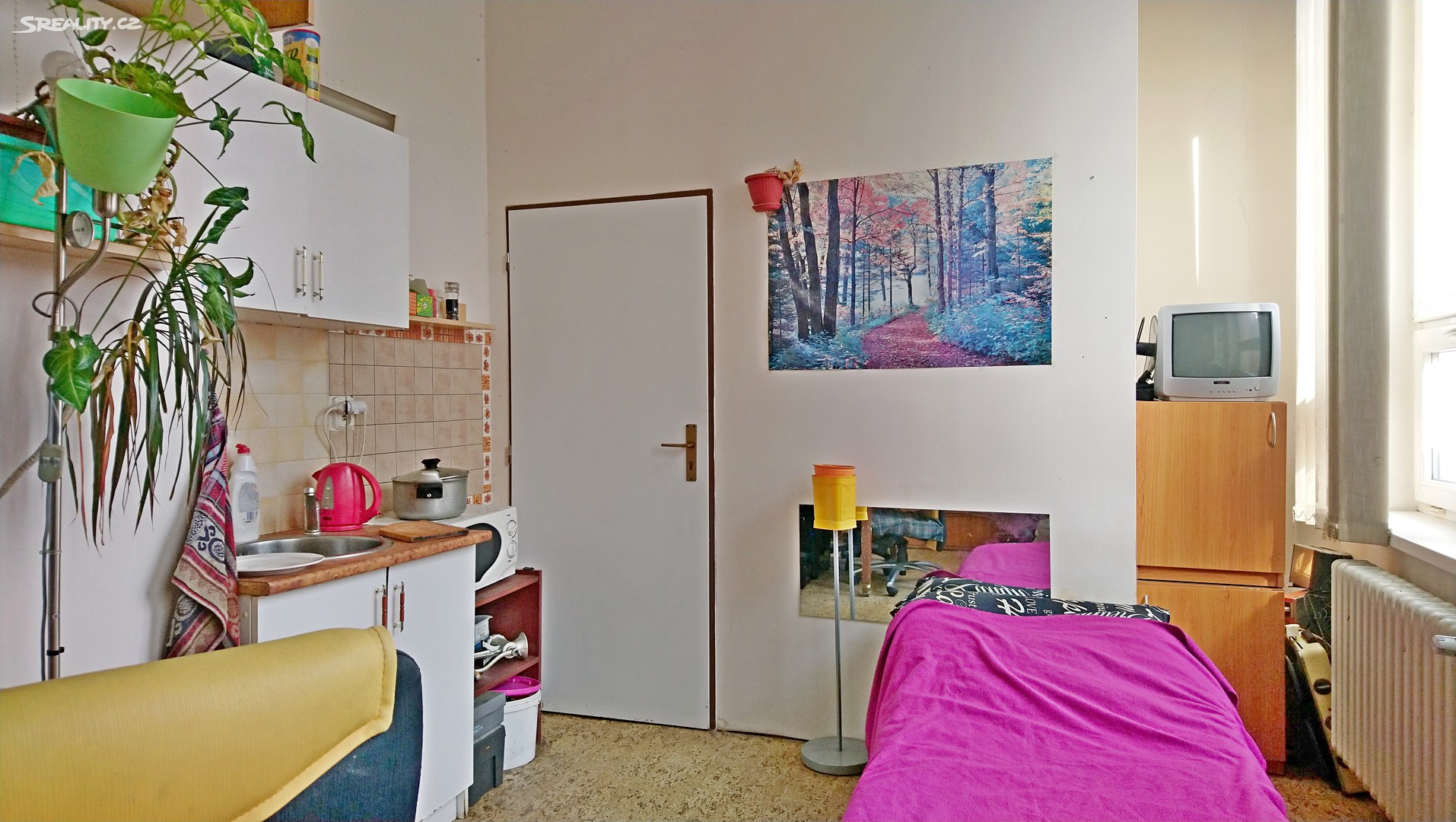 Pronájem bytu 1+kk 20 m², Tatranská, Liberec - Liberec III-Jeřáb