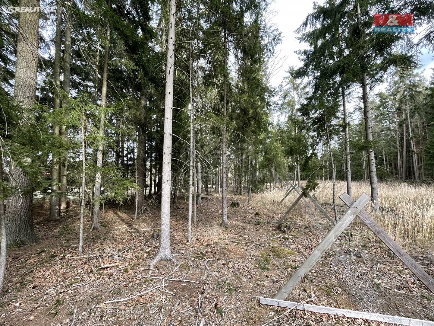 Prodej  lesa 7 554 m², Borovany - Trocnov, okres České Budějovice