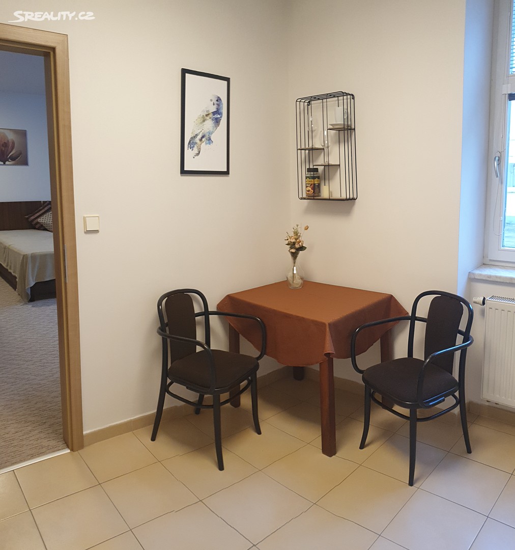 Pronájem bytu 1+1 35 m², Kounicova, Brno - Veveří
