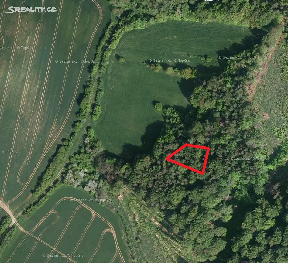 Prodej  lesa 1 859 m², Koryčany - Lískovec, okres Kroměříž