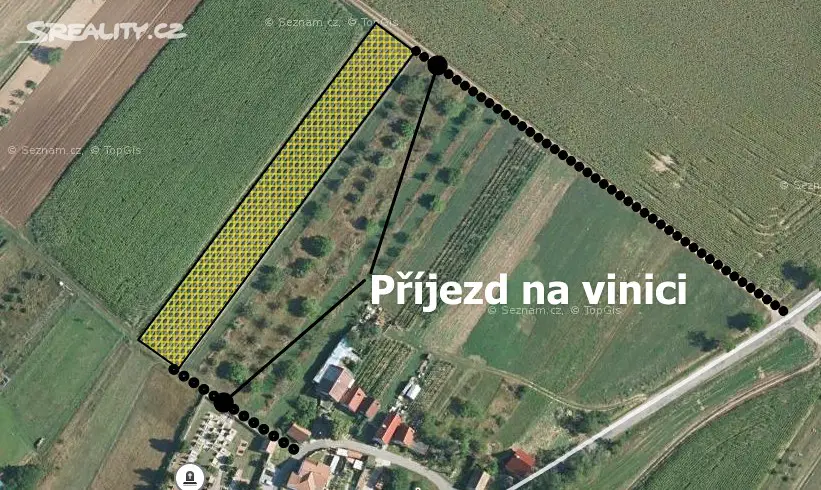 Prodej  sadu, vinice 3 360 m², Olbramovice, okres Znojmo