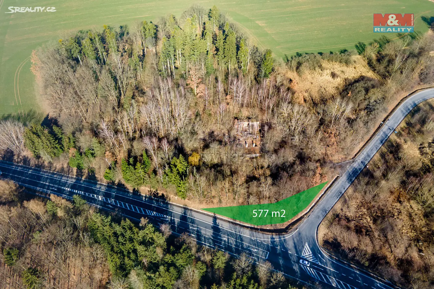 Prodej  lesa 12 000 m², Gruna, okres Svitavy