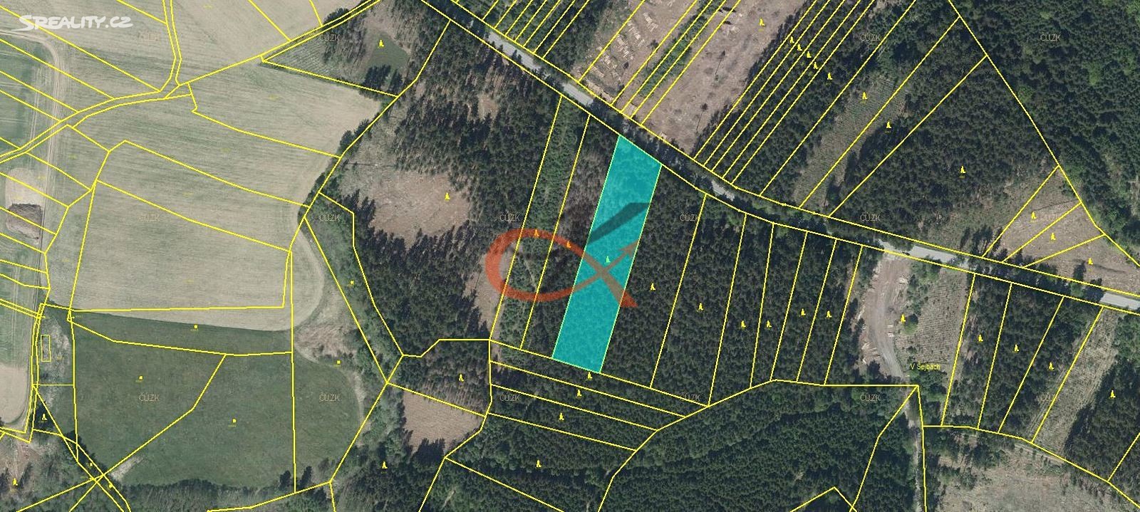 Prodej  lesa 6 294 m², Třešť, okres Jihlava