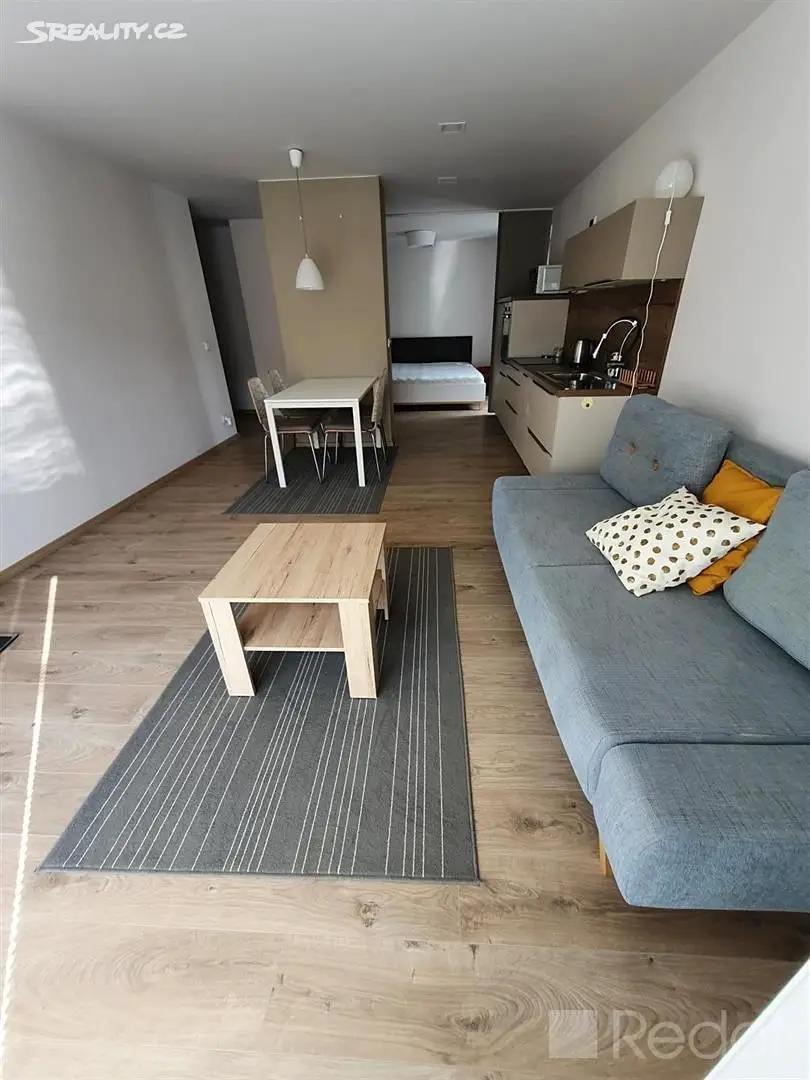 Pronájem bytu 1+kk 44 m², Vejražkova, Praha - Košíře