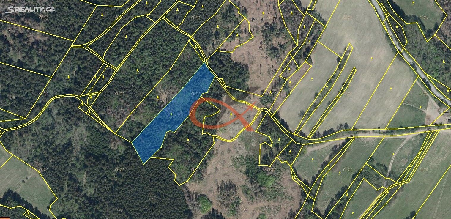 Prodej  lesa 7 692 m², Cejle, okres Jihlava