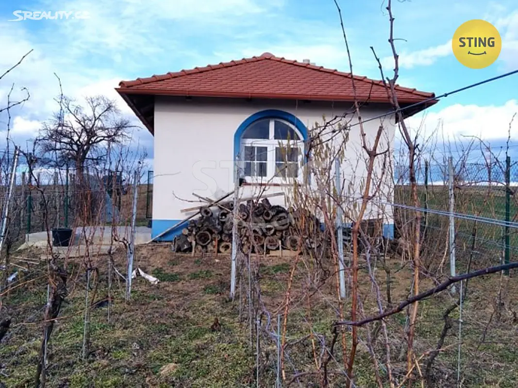 Prodej  sadu, vinice 1 905 m², Domanín, okres Hodonín