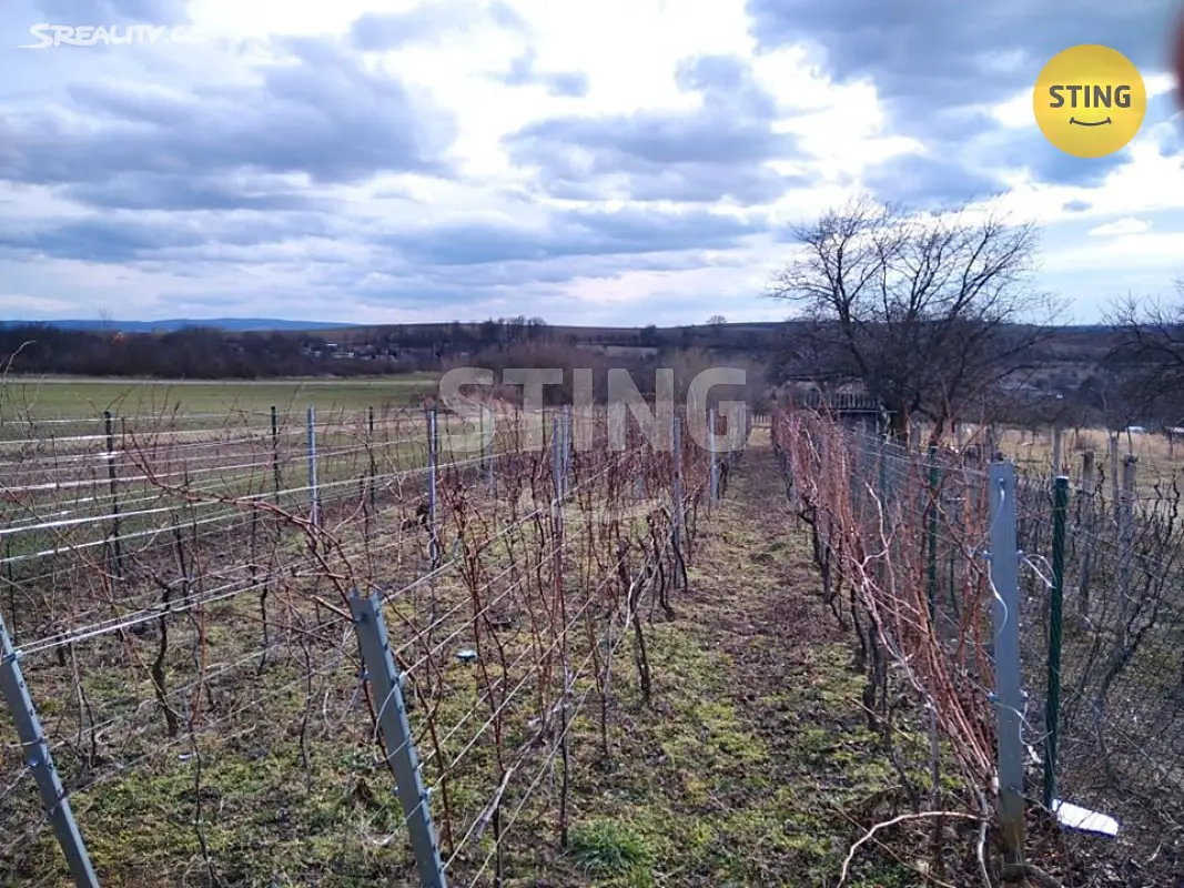Prodej  sadu, vinice 1 905 m², Domanín, okres Hodonín