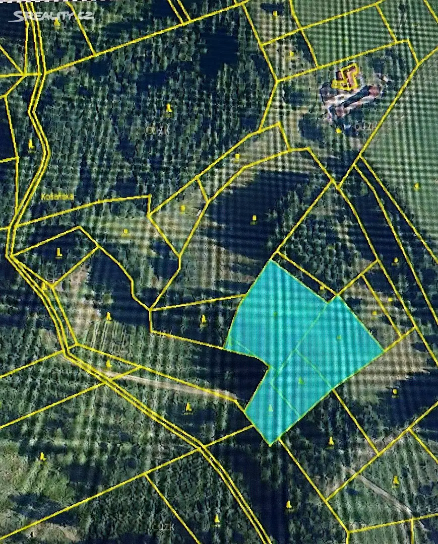 Prodej  lesa 6 704 m², Halenkov, okres Vsetín