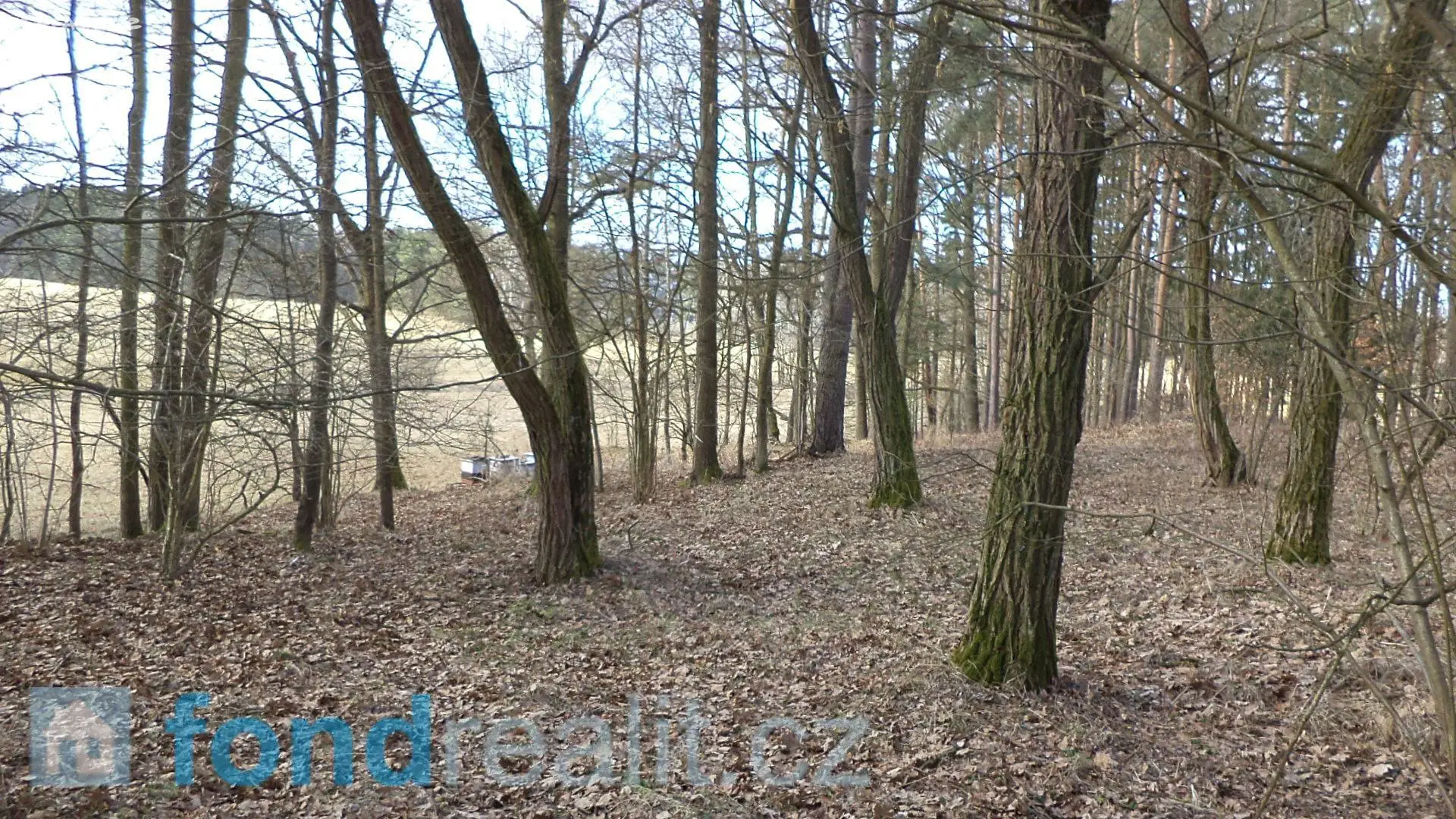 Prodej  lesa 5 760 m², Pístina, okres Jindřichův Hradec