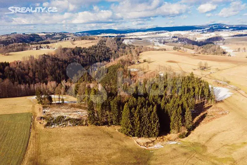 Prodej  lesa 13 552 m², Pěčín, okres Rychnov nad Kněžnou
