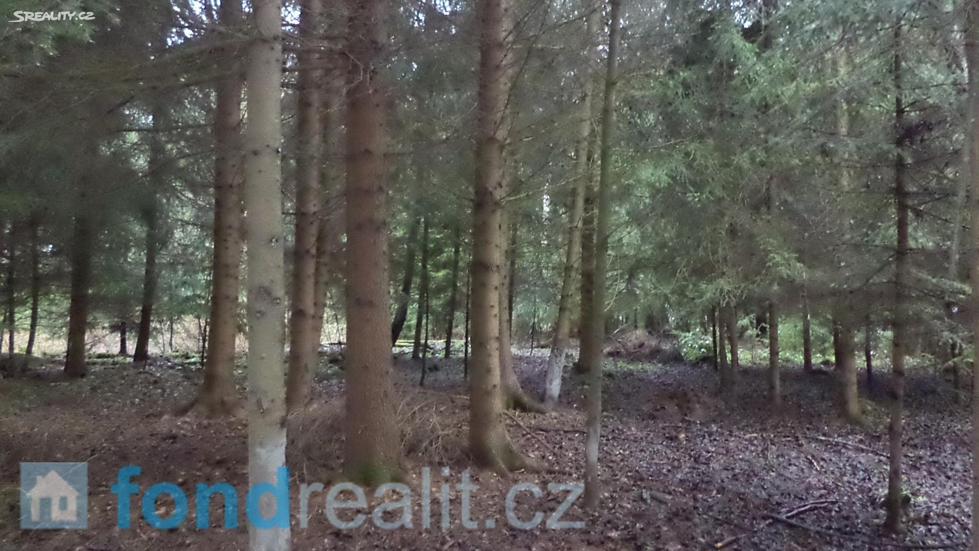 Prodej  lesa 9 683 m², Myslkovice, okres Tábor