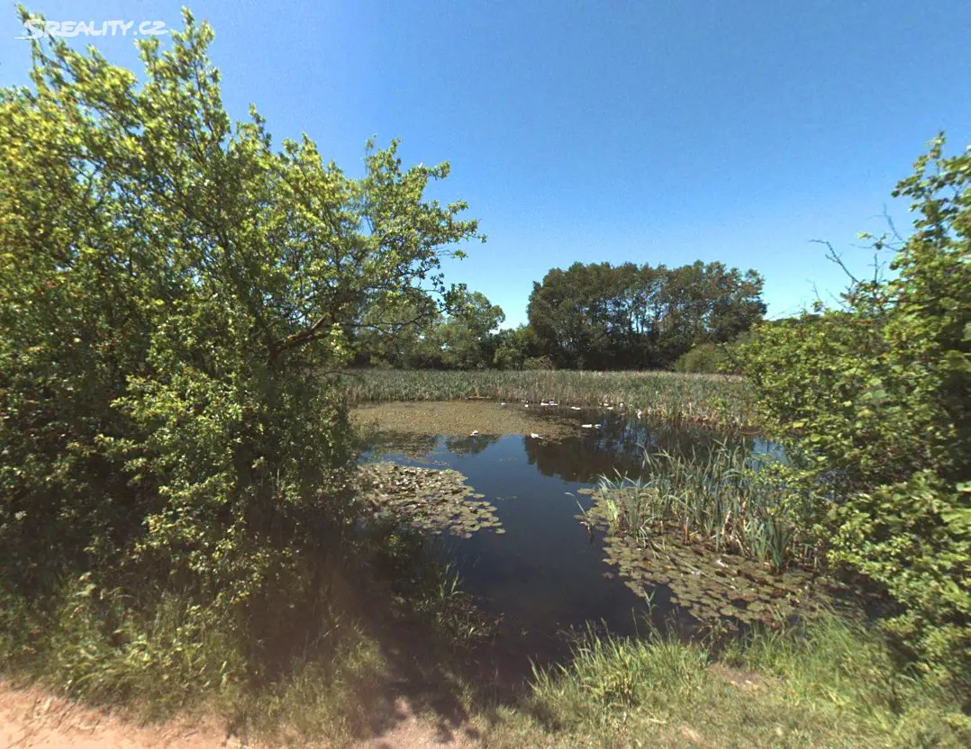 Prodej  rybníku (vodní plochy) 474 m², Prosetín, okres Žďár nad Sázavou