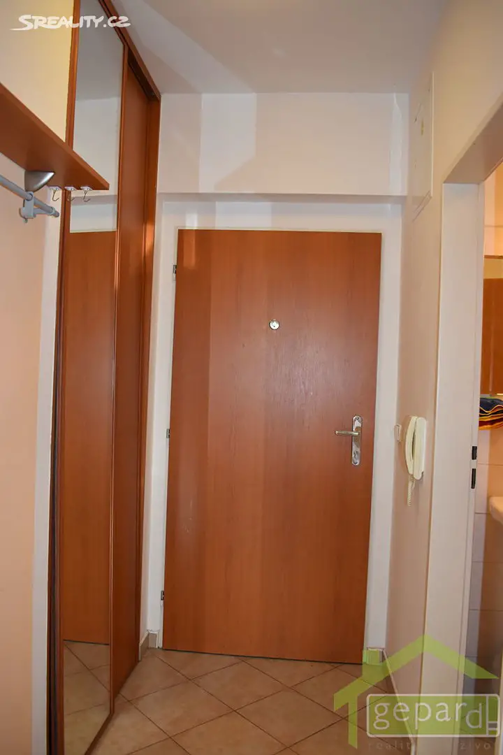 Pronájem bytu 1+kk 37 m², Ve slatinách, Praha 10 - Záběhlice