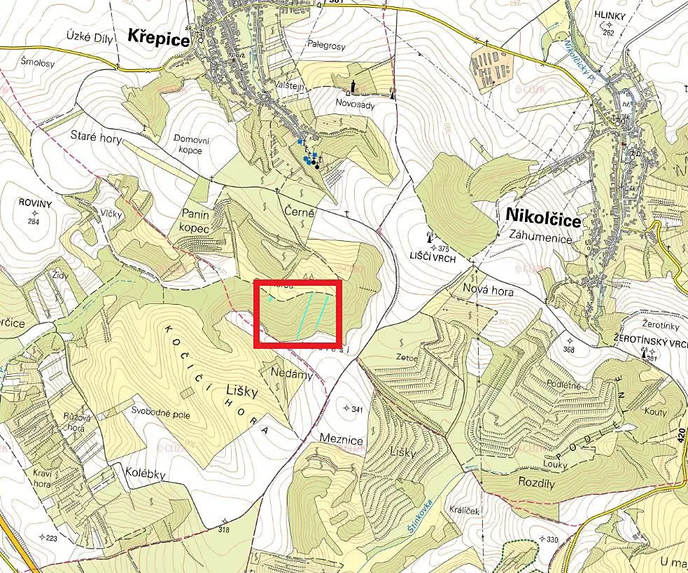 Prodej  lesa 2 610 m², Křepice, okres Břeclav