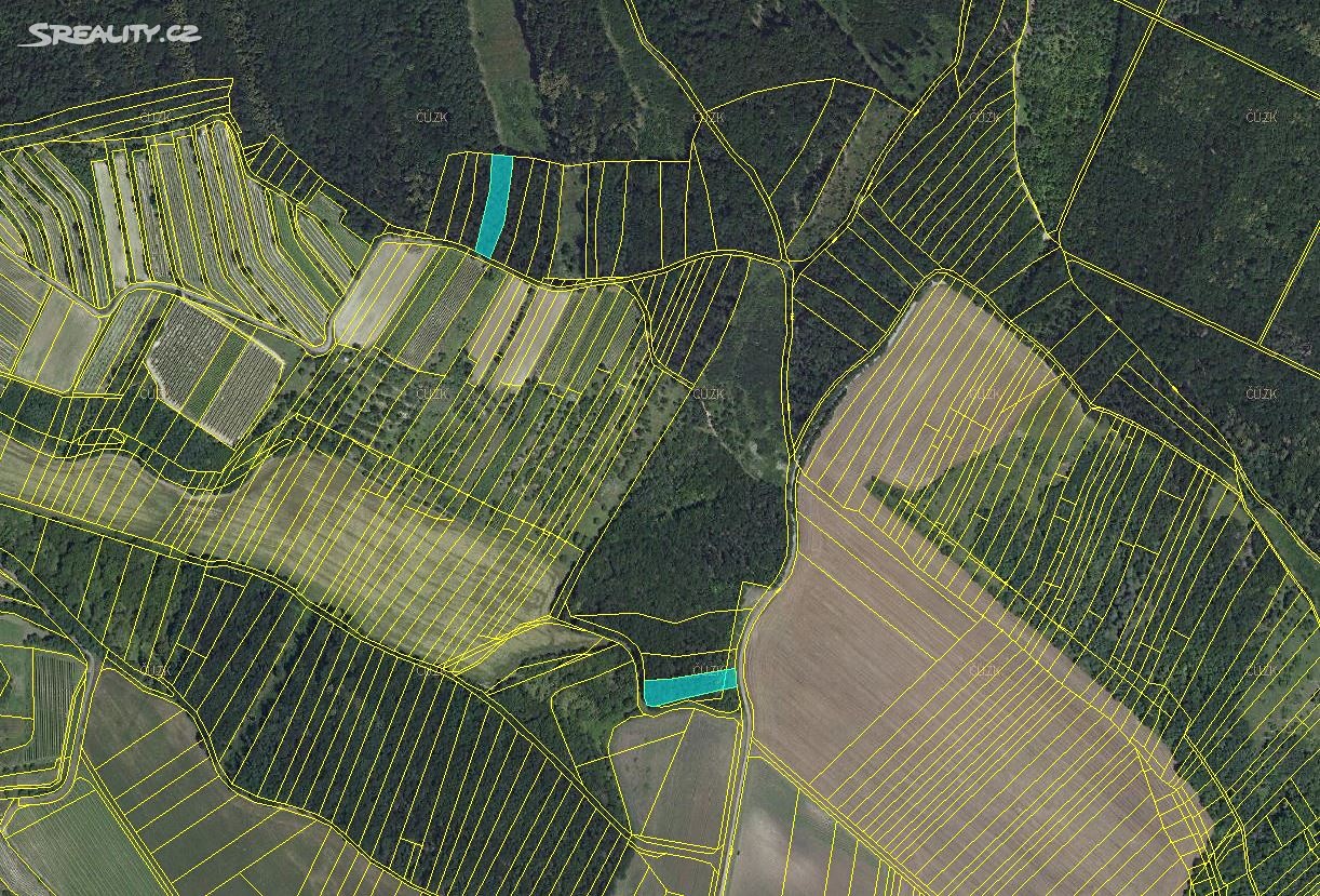 Prodej  lesa 3 832 m², Němčičky, okres Břeclav