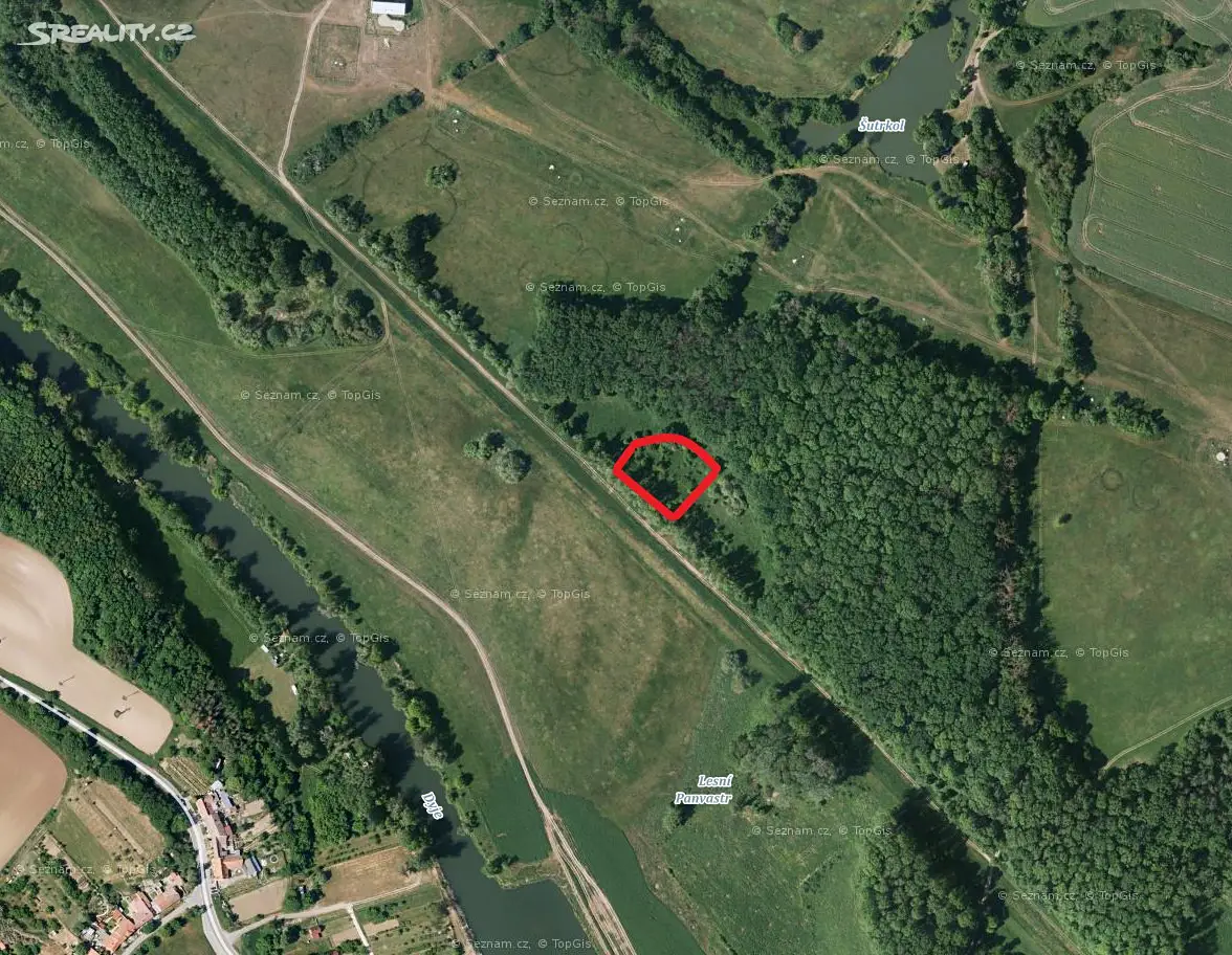Prodej  lesa 391 m², Přítluky, okres Břeclav