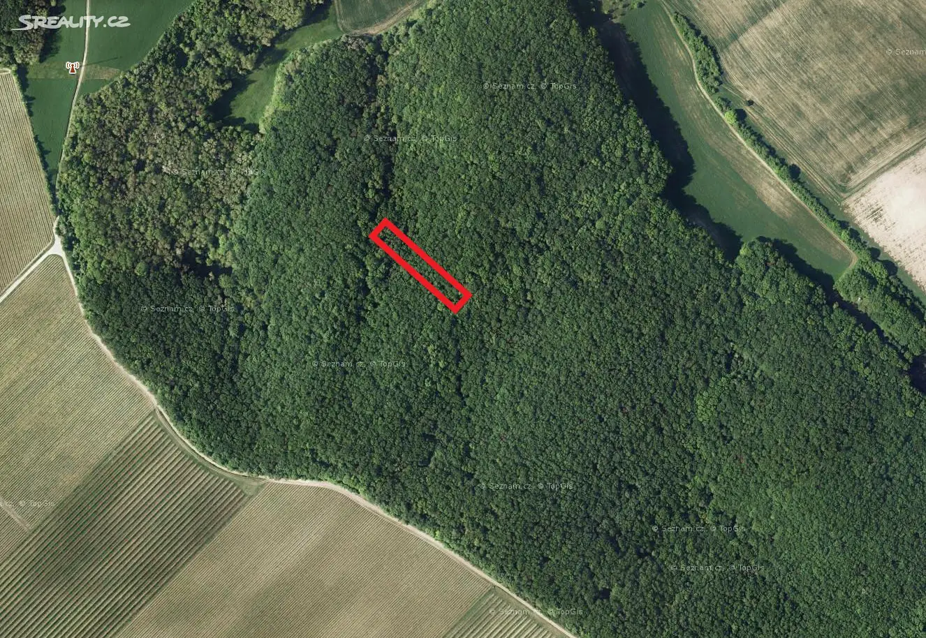 Prodej  lesa 847 m², Velké Hostěrádky, okres Břeclav