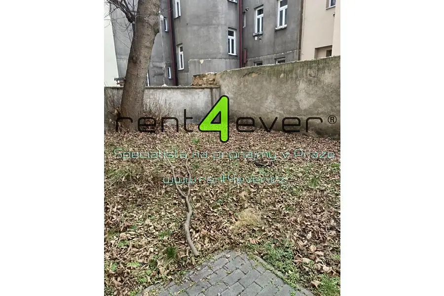 Pronájem bytu 2+1 53 m², V zahradách, Praha 8 - Libeň