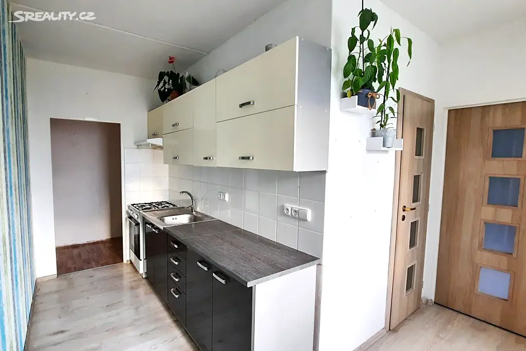 Pronájem bytu 2+1 57 m², Za Vodojemem, Olomouc - Nová Ulice