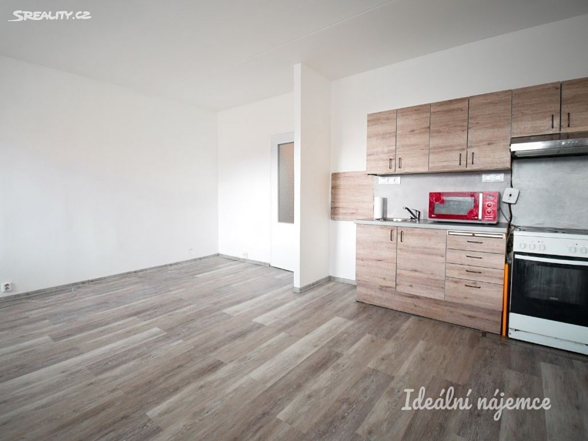 Pronájem bytu 1+kk 30 m², Velkopavlovická, Brno - Židenice