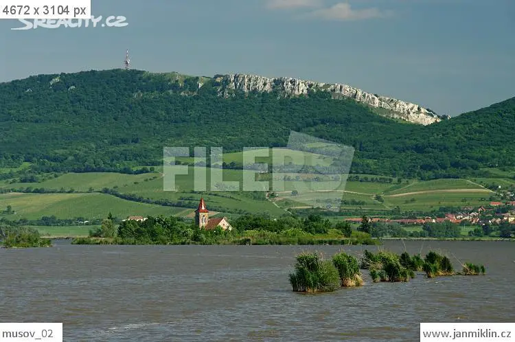 Prodej  komerčního pozemku 9 010 m², Pasohlávky, okres Brno-venkov