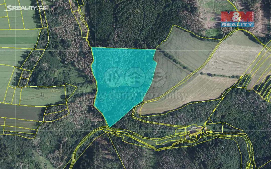 Prodej  lesa 41 016 m², Velká Bíteš - Pánov, okres Žďár nad Sázavou