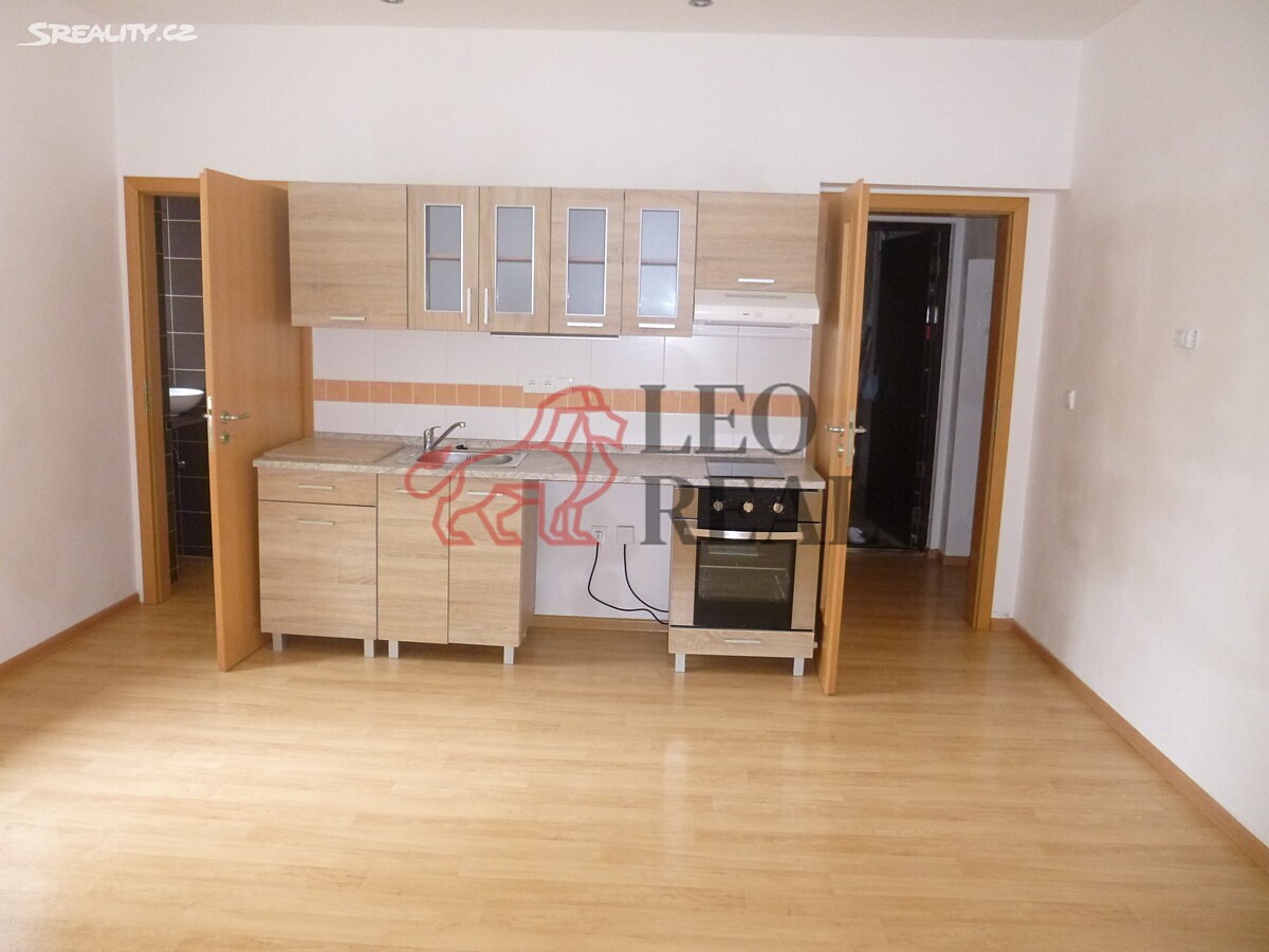 Pronájem bytu 1+kk 18 m², Děčín - Děčín IV-Podmokly, okres Děčín