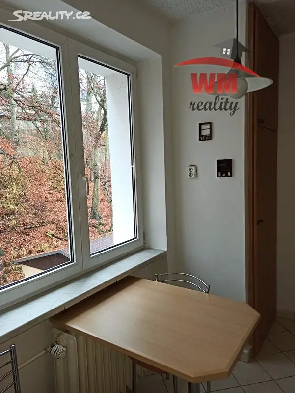 Pronájem bytu 2+1 52 m², Vítězná, Karlovy Vary