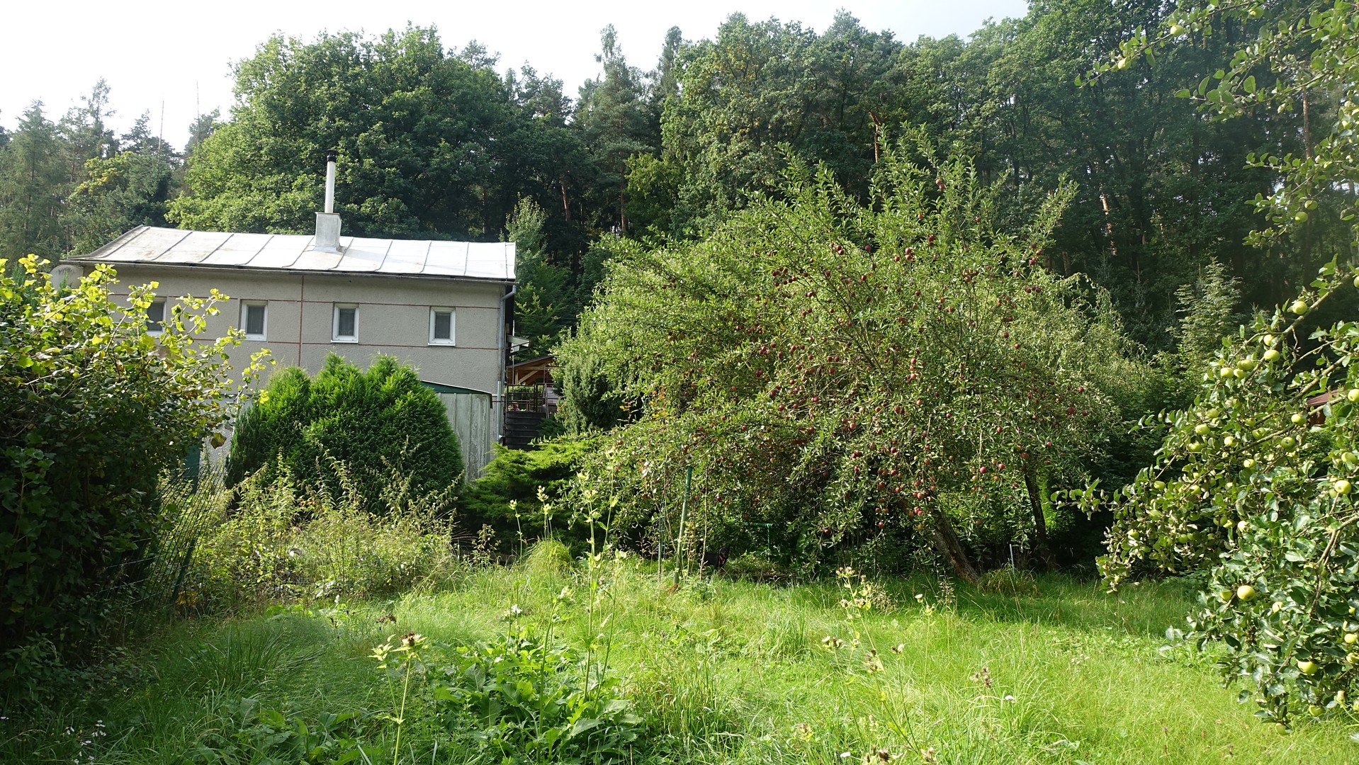Prodej  chaty 40 m², pozemek 1 048 m², Zdětín, okres Prostějov