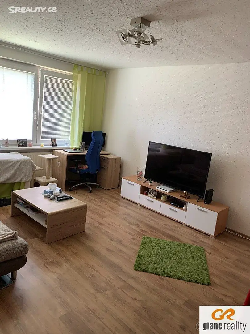 Pronájem bytu 1+1 38 m², U Haldy, Ostrava - Hrabůvka