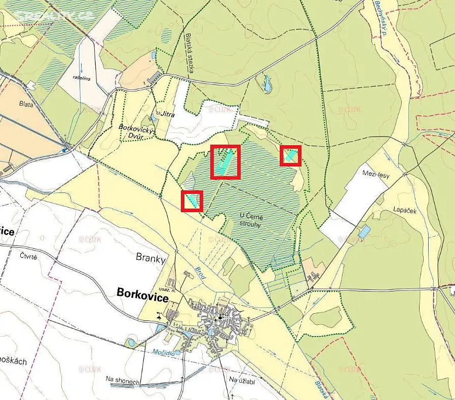 Prodej  lesa 17 285 m², Borkovice, okres Tábor
