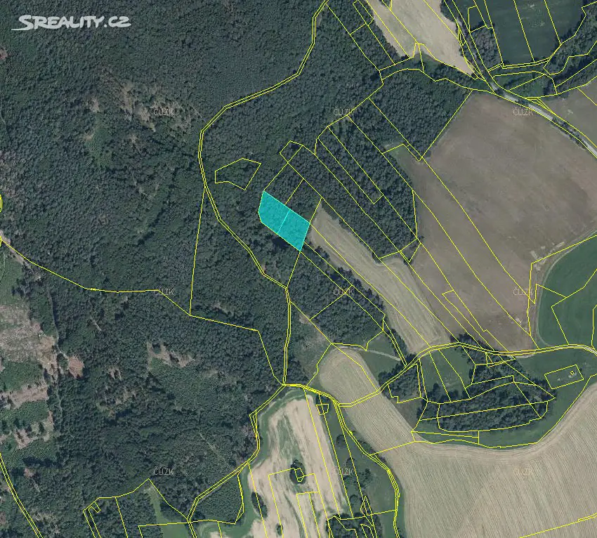 Prodej  lesa 576 m², Krásná Hora - Broumova Lhota, okres Havlíčkův Brod